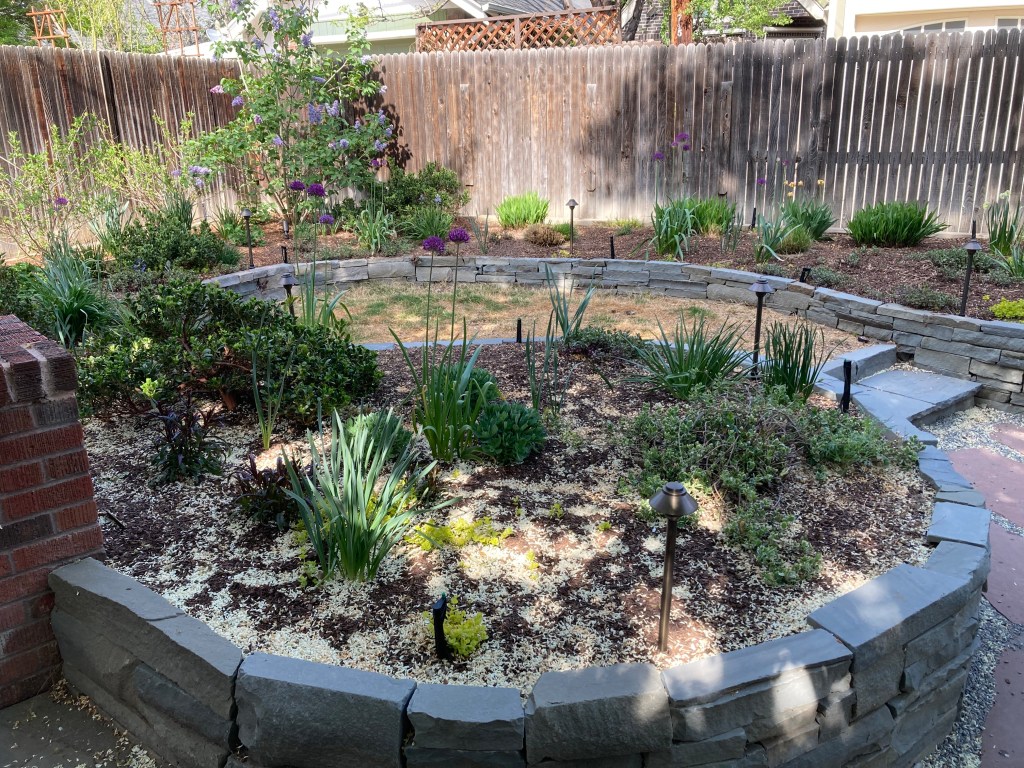 Sprinkler, Repair, Local, Affordable, Irrigation Repair, Sprinkler Head Replacement,