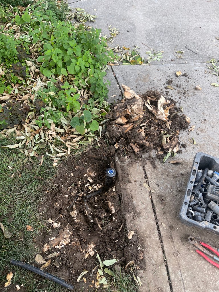 Sprinkler, Repair, Local, Affordable, Irrigation Repair, Sprinkler Head Replacement